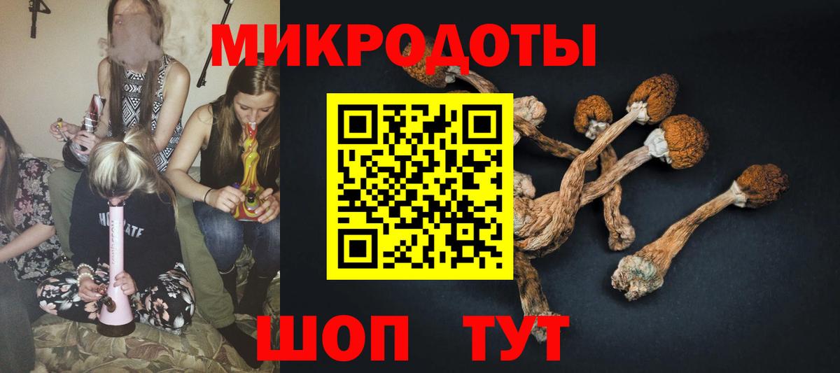 Псилоцибиновые грибы GOLDEN TEACHER  Вход с VPN  Костомукша  Псилоцибиновые грибы мицелий 